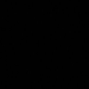 Meet your Posher, Bertha